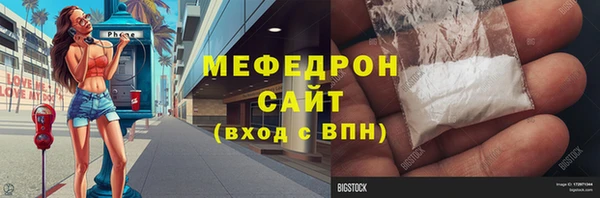 сатива Инта