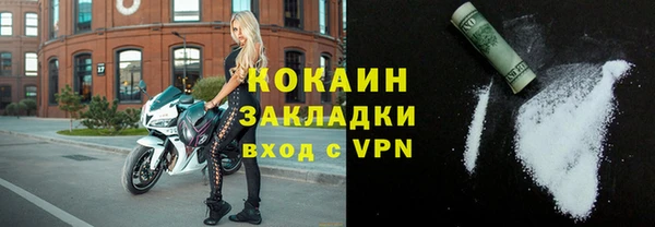сатива Инта