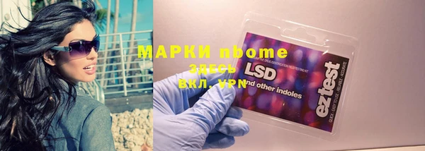 сатива Инта