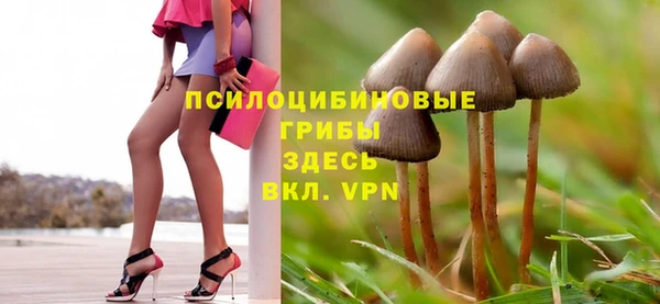 гидра Иннополис