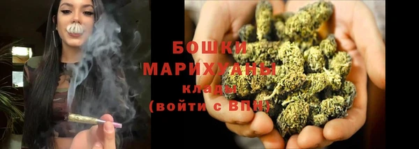 сатива Инта