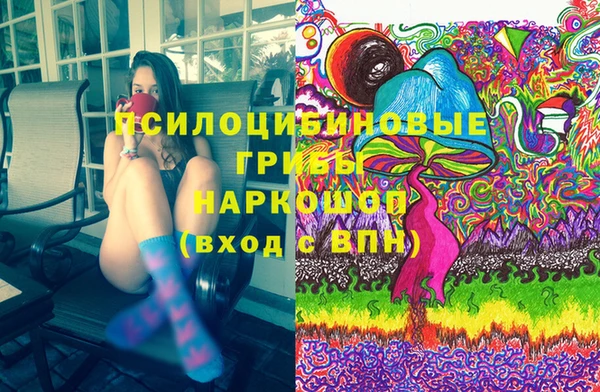 ALPHA-PVP Инсар