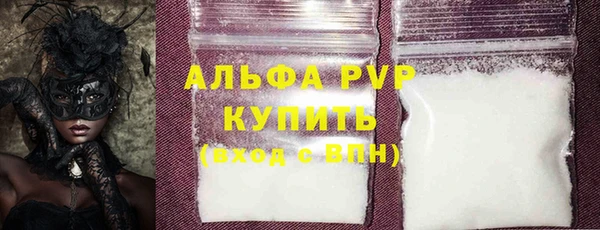 сатива Инта