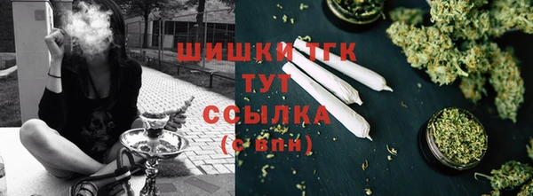сатива Инта