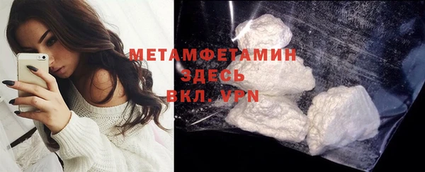 сатива Инта